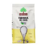 Farinha-de-Coco-Organica-Mae-Terra-200g_0