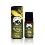 oleo-essencial-ylang-ylang-5ml-bio-essencia-14221-7663-12241-1-original