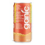 5721041311-vitamina-water-manga-citrus-260ml-ganic