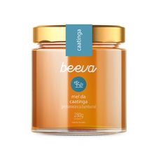 Mel Caatinga Bamburral Vidro Beeva 280g