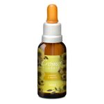 Floral-Controle-Alimentar-30ml---Cromoflorais_0