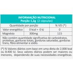 3101021041-malato-de-magnesio-500mg-120caps-tabela-nutricional