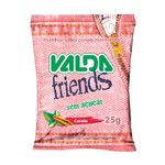 5431031451-valda-friends-canela-25g-valda