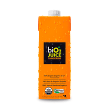 Suco Juice Tangerina biO2 1L