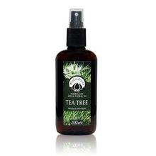 Hidrolato Tea Tree (Melaleuca) 200ml - BioEssência