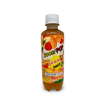 Kombucha-Sunny-290ml-KoobiPop_0