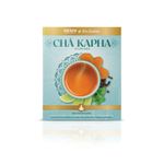 950000210301-cha-kapha-ayurveda