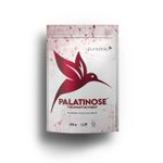 950000201097-palatinose-300g