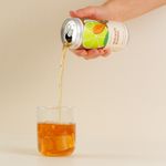 950000228464-cha-mate-com-limao-gaseificado-brazo-269ml