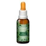 Floral-Medo-e-Inseguranca-30ml---Cromoflorais_0
