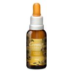Floral-Estimulo-da-Imunidade-30ml---Cromoflorais_0