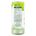 950000179175-cha-verde-com-fibras-limao-290ml-tn